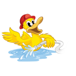 canard_01_1213931752