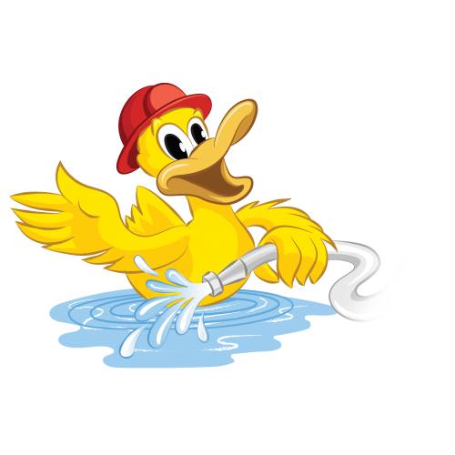 canard_01_1213931752